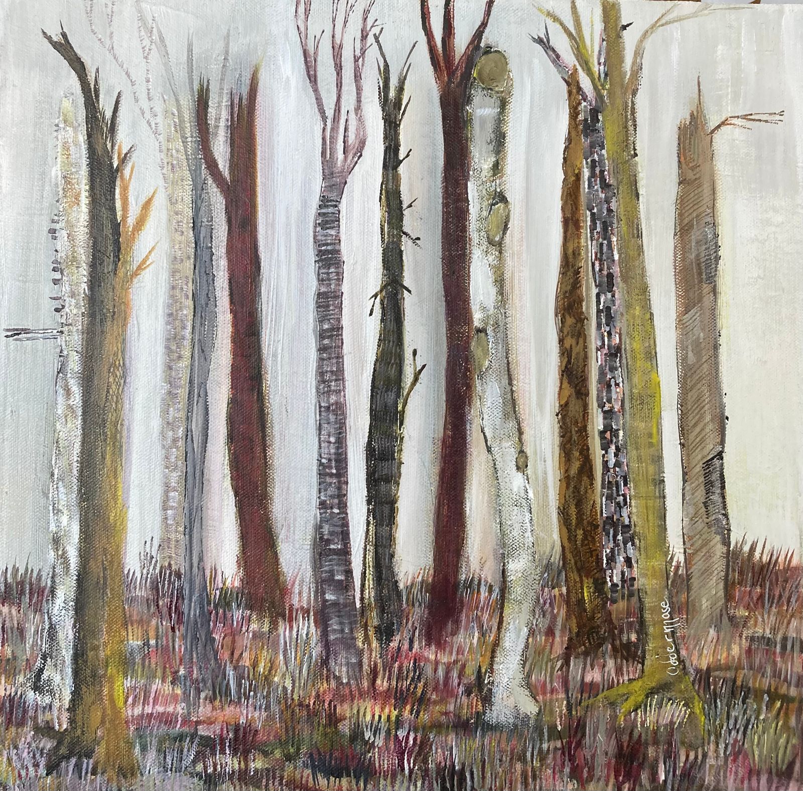 Bark variationer, motiv: natur